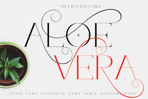 Aloe Vera: A Serif Font with Quiet Elegance and Romantic Nuance