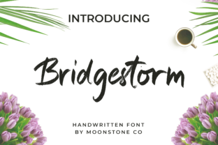 Bridgestorm: A Romantic Handwritten Font
