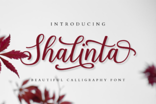 Shalinta: Where Thoughtful Calligraphy Meets Modern Design Needs